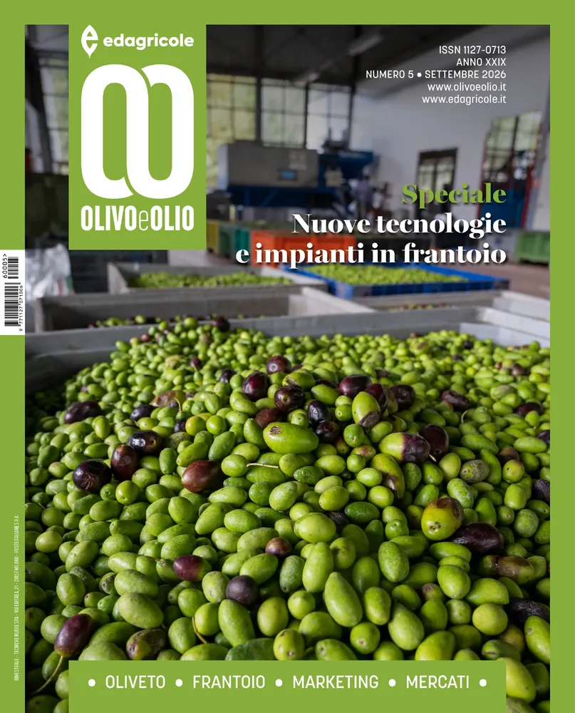 n.5 - Settembre 2026