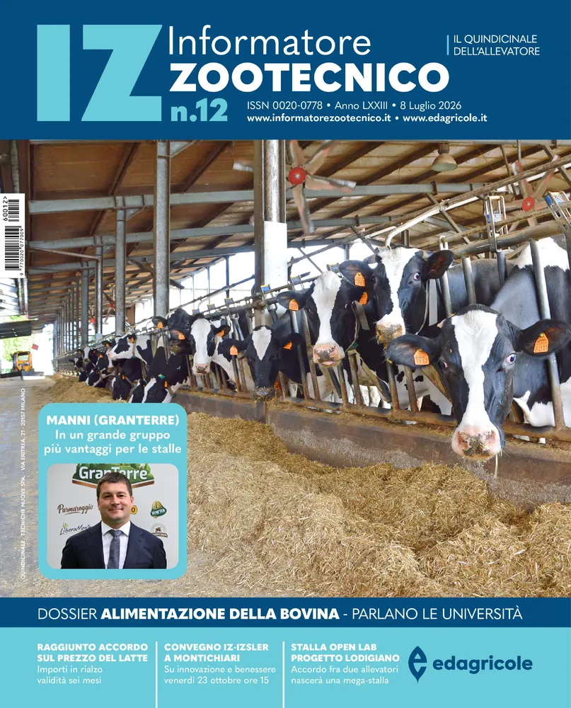n.12 - Luglio 2026