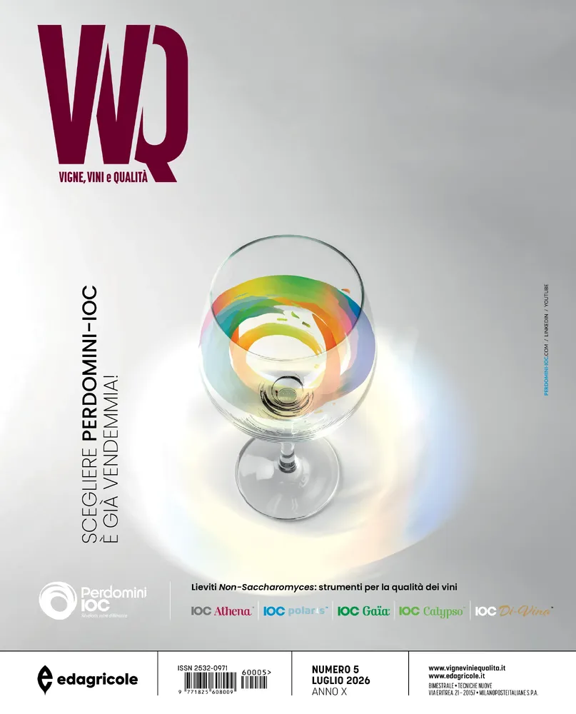 n.5 - Luglio 2026