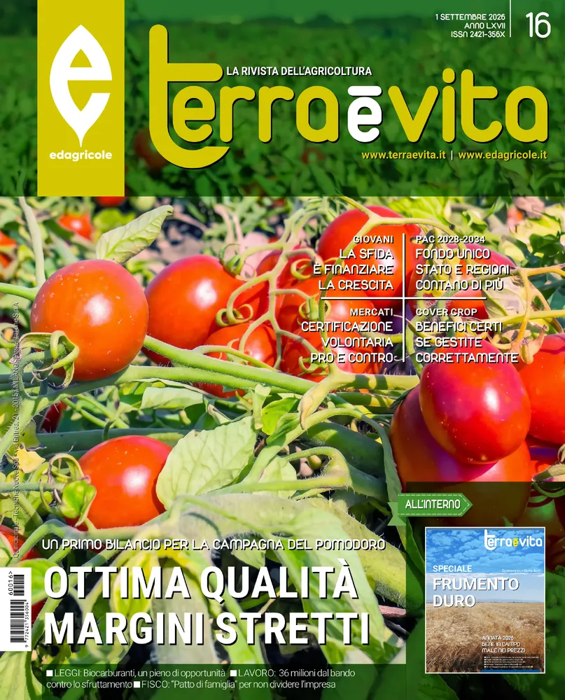 n.16 - Settembre 2026