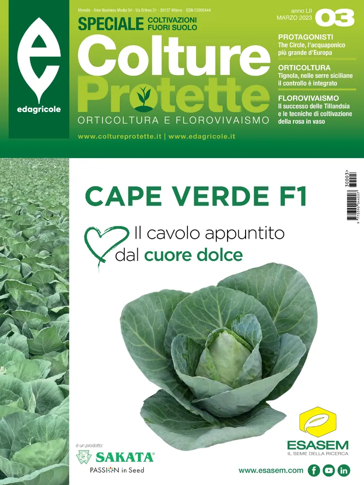 n.3 - Marzo 2023