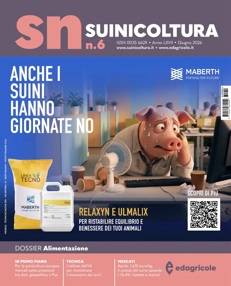 n.6 - Giugno 2026