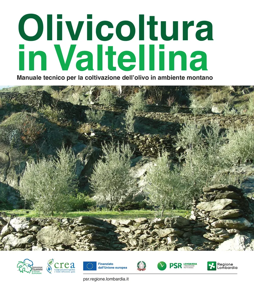 Olivicoltura in Valtellina