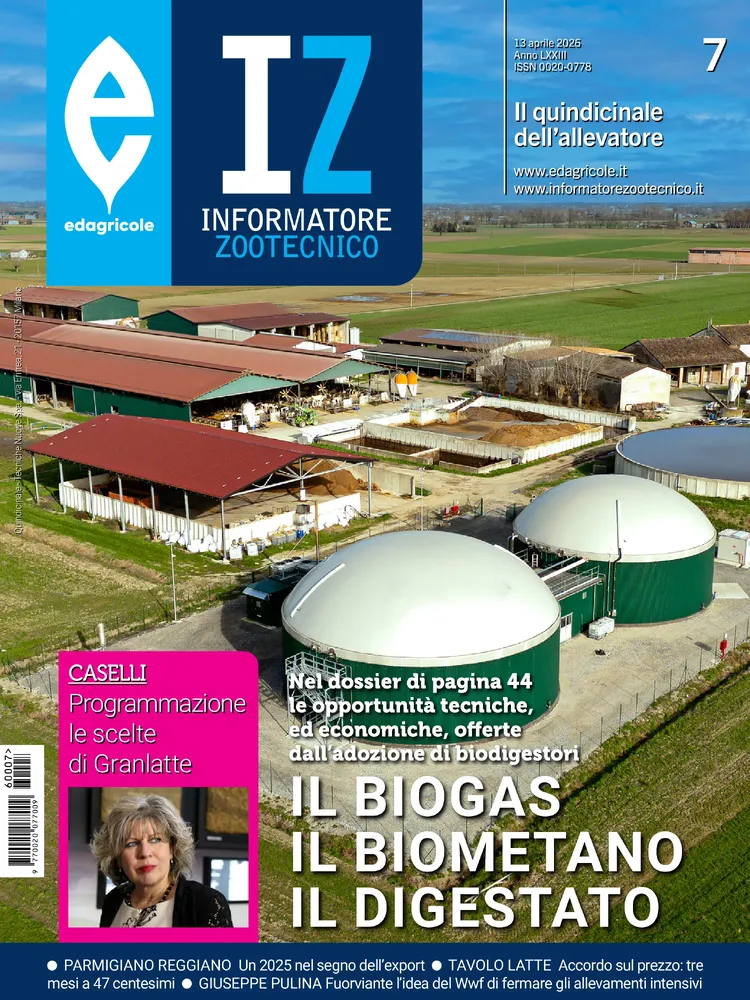 n.7 - Aprile 2026