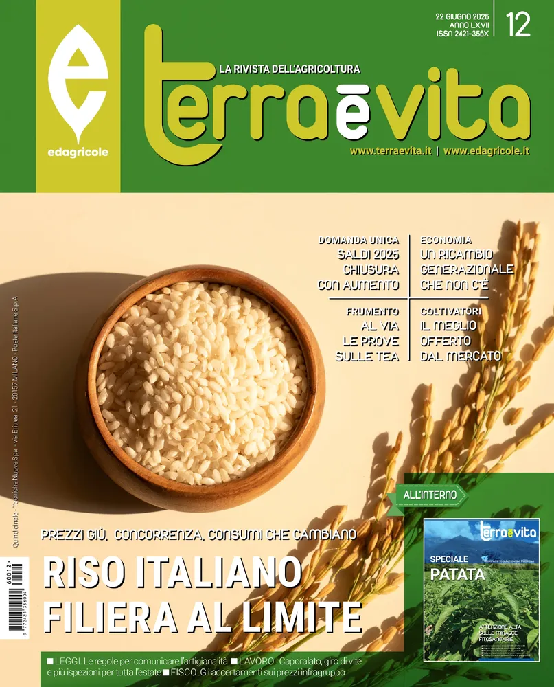 n.12 - Giugno 2026