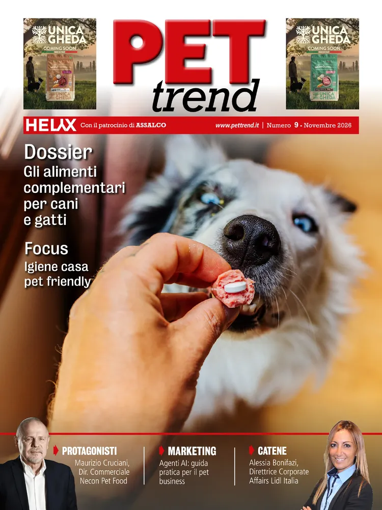 n.9 - Novembre 2026