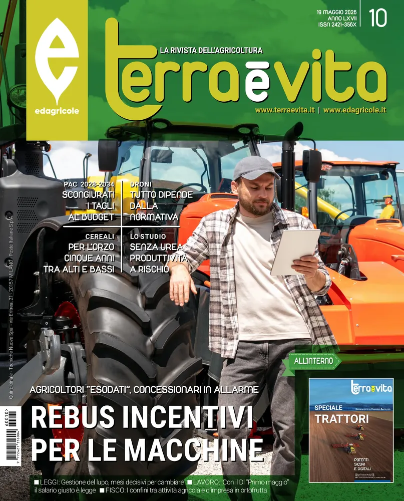 n.10 - 19 Maggio 2026