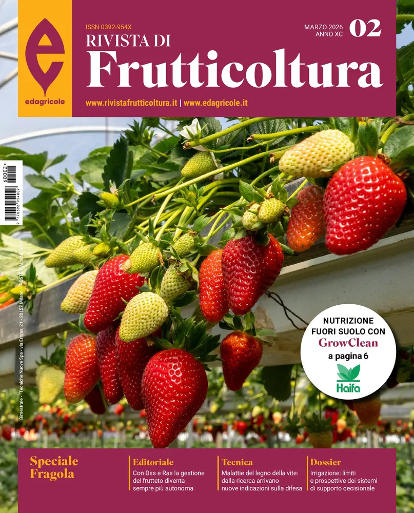 n.2 - Marzo 2026