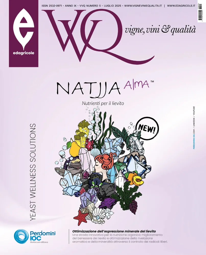 n.5 - Luglio 2025