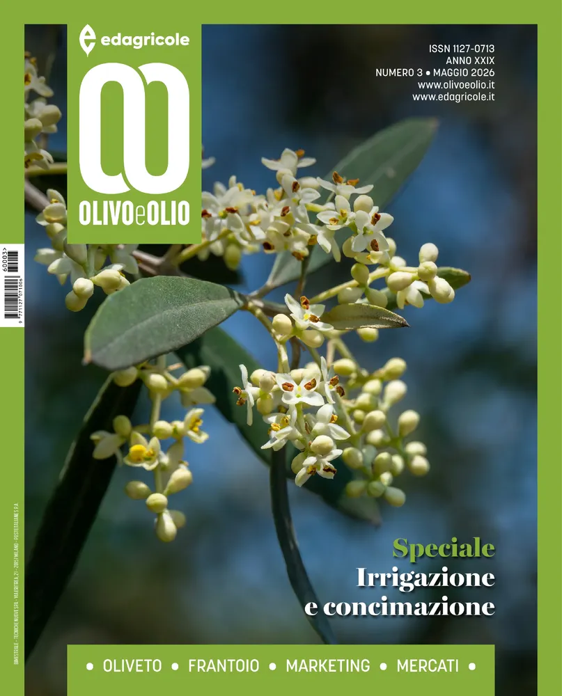 n.3 - Maggio 2026