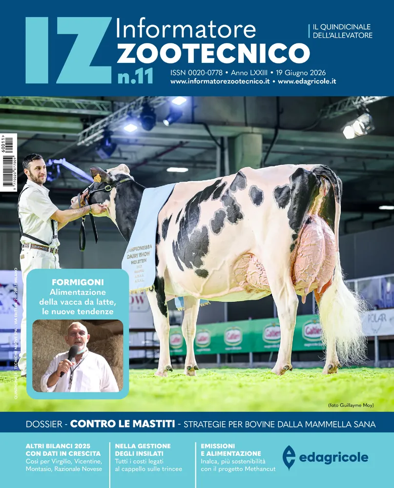 n.11 - Giugno 2026