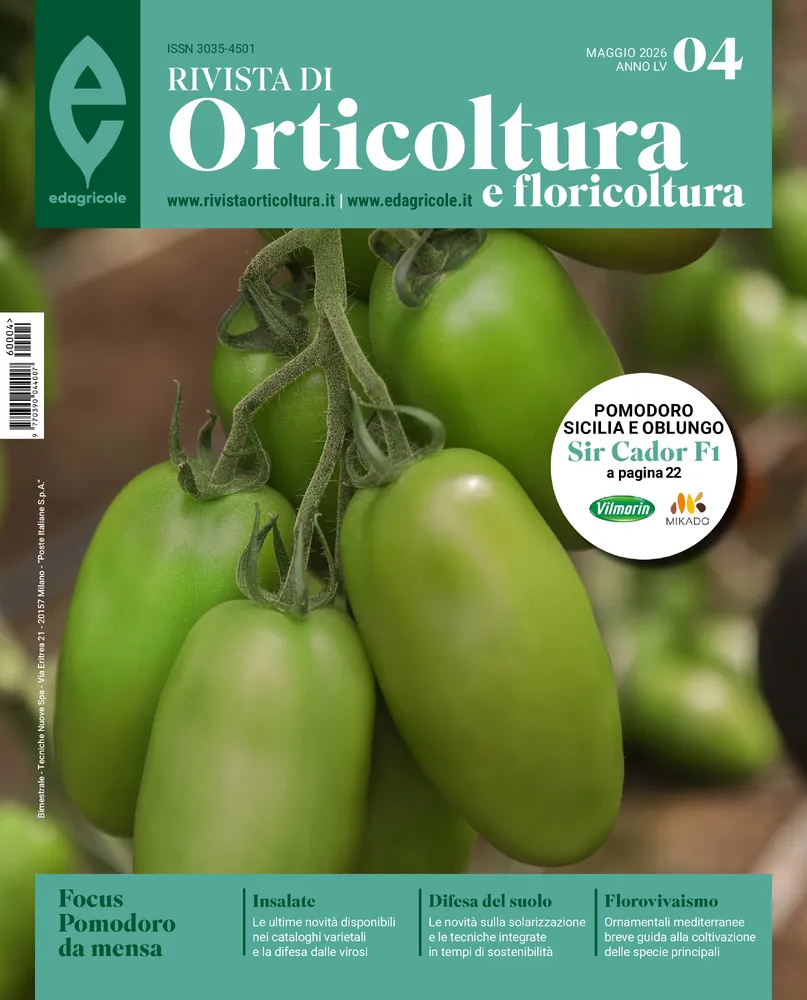 n.4 - Maggio 2026