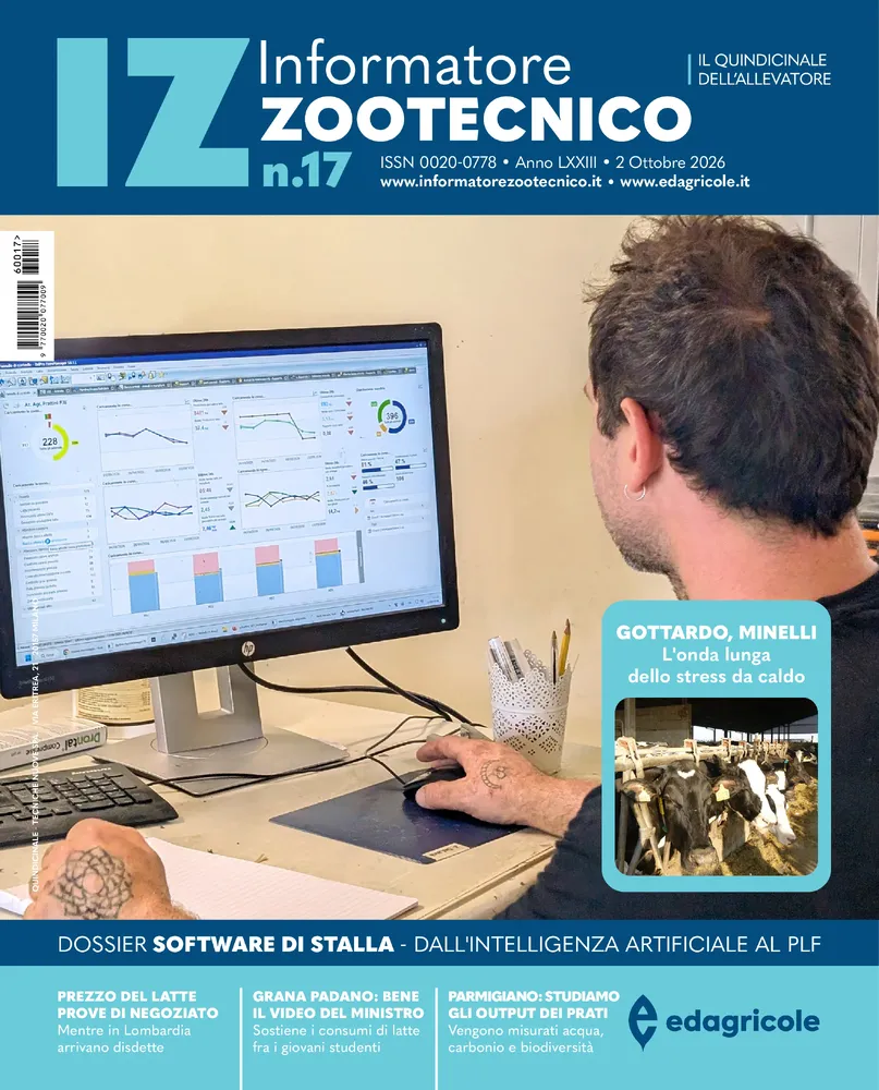 n.17 - Ottobre 2026