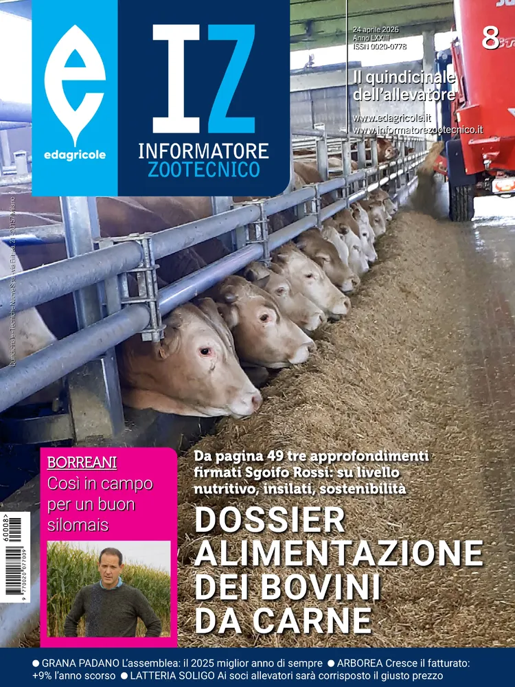n.8 - Aprile 2026