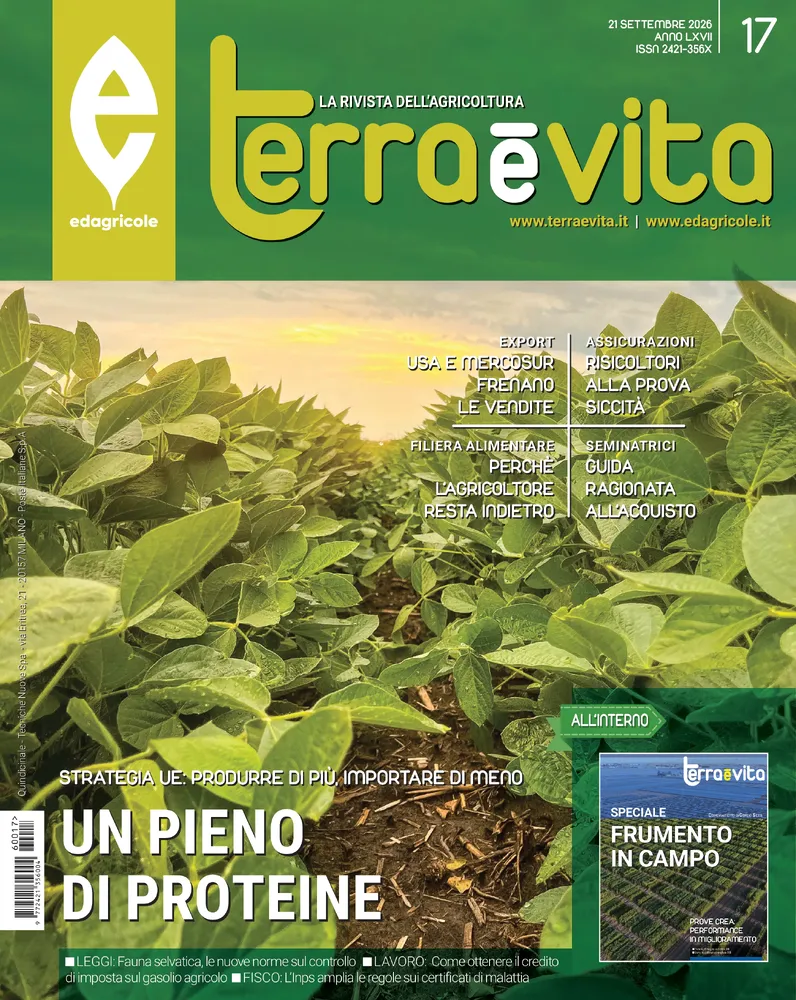 n.17 - Settembre 2026