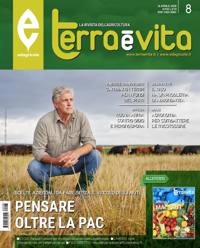 n.8 - 14 Aprile 2026