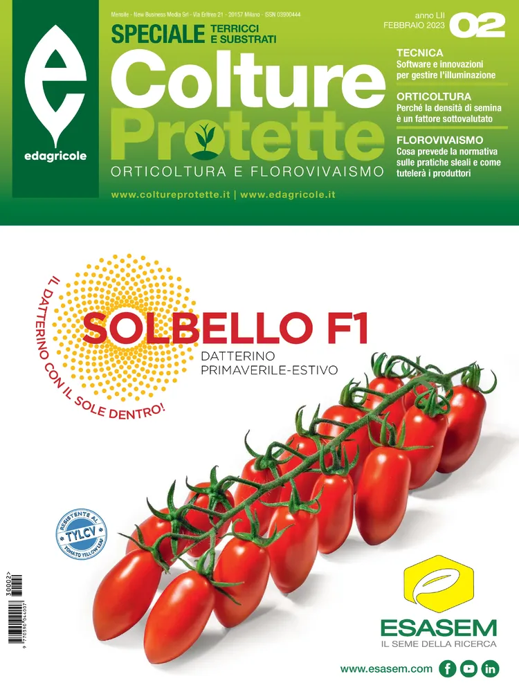 n.2 - Febbraio 2023