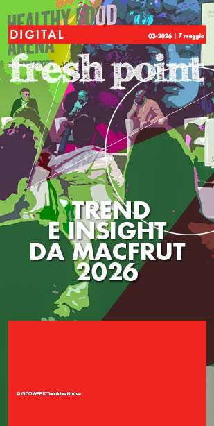n.3 - 2026
