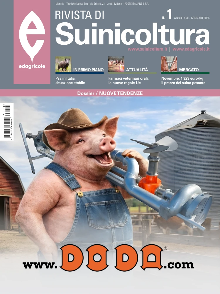 n.1 - Gennaio 2026