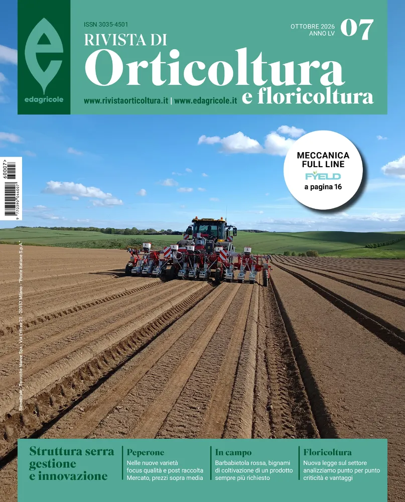 n.7 - Ottobre 2026