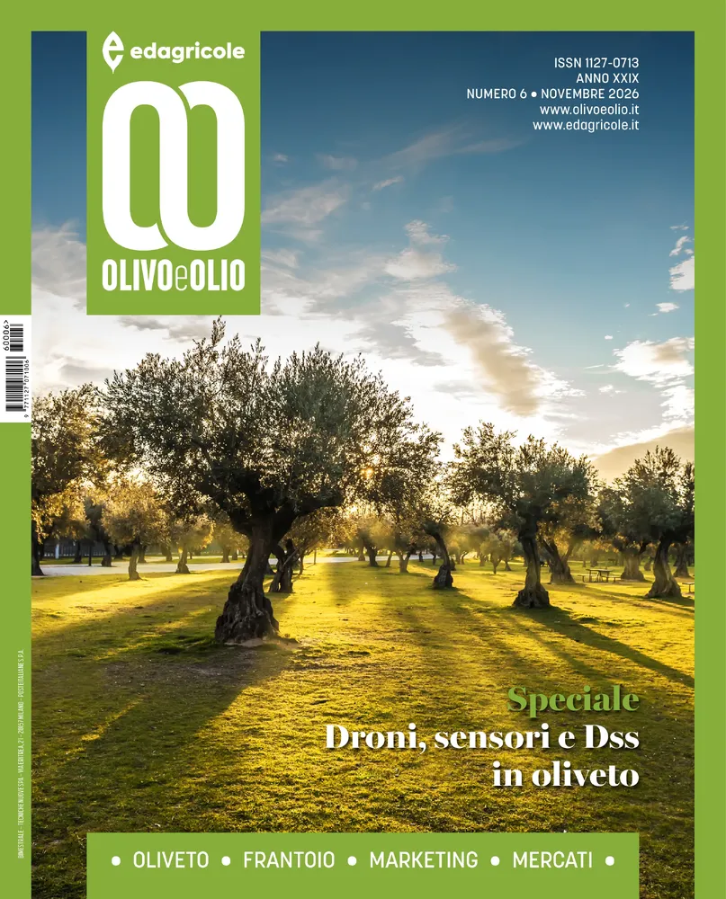 n.6 - Novembre 2026