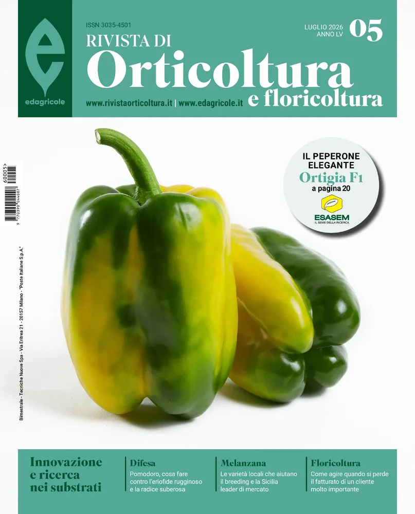 n.5 - Luglio 2026