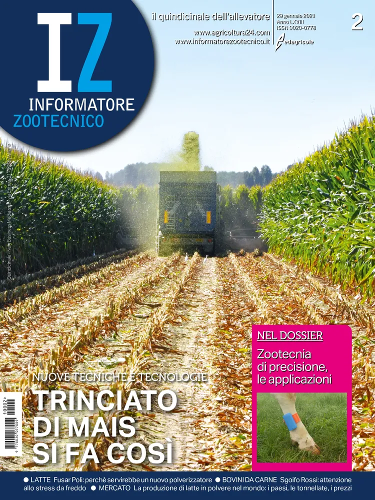n.2 - Gennaio 2021