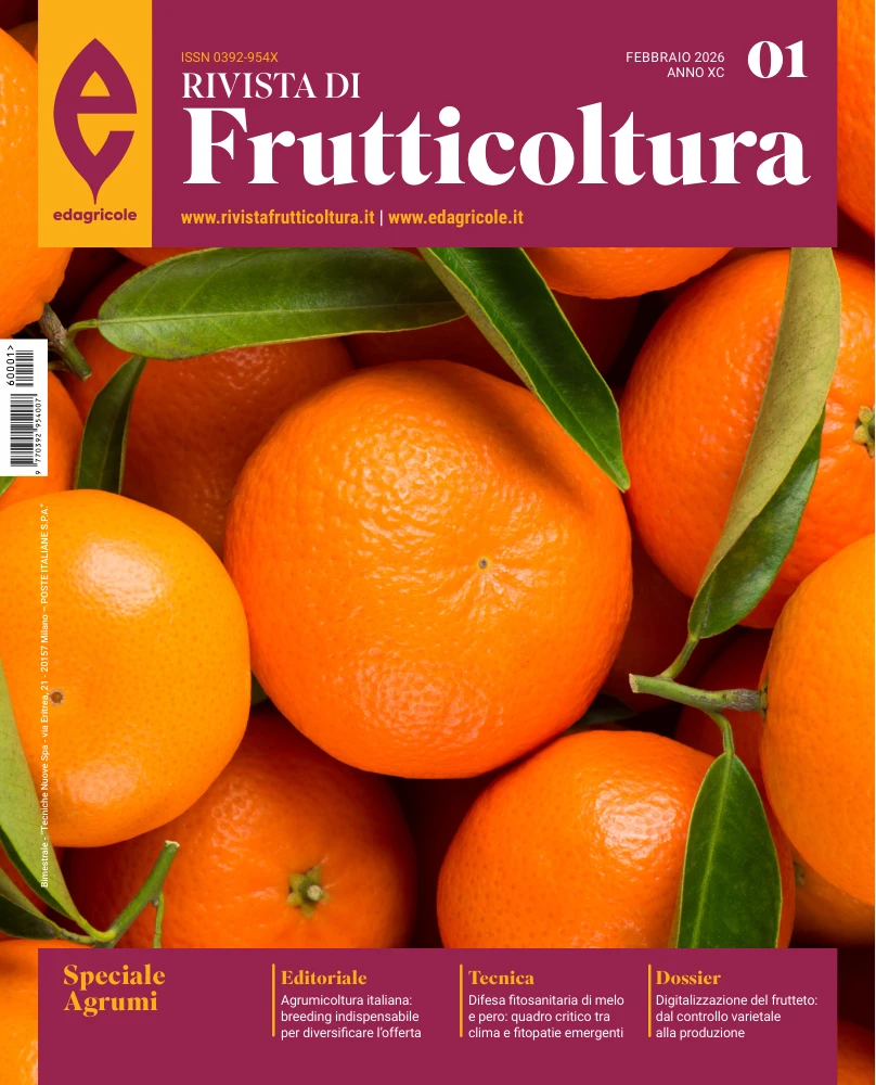 n.1 - Febbraio 2026