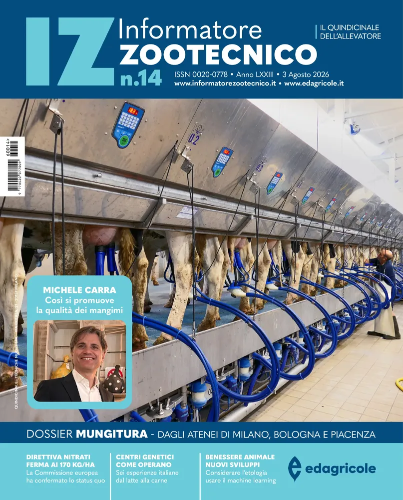 n.14 - Agosto 2026