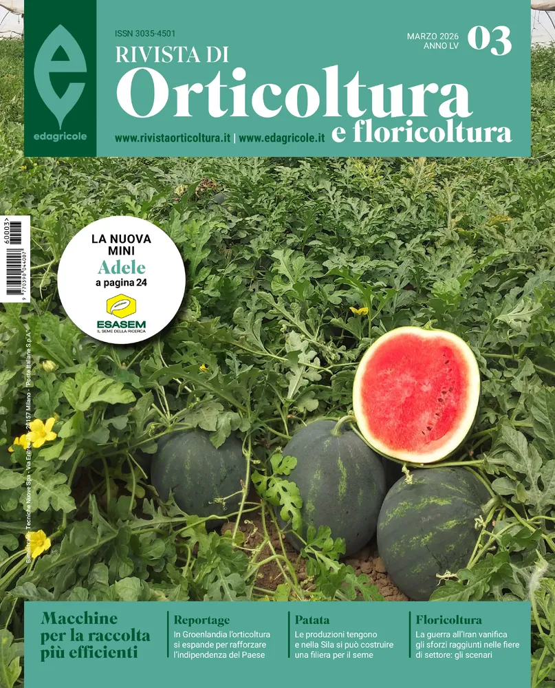 n.3 - Aprile 2026