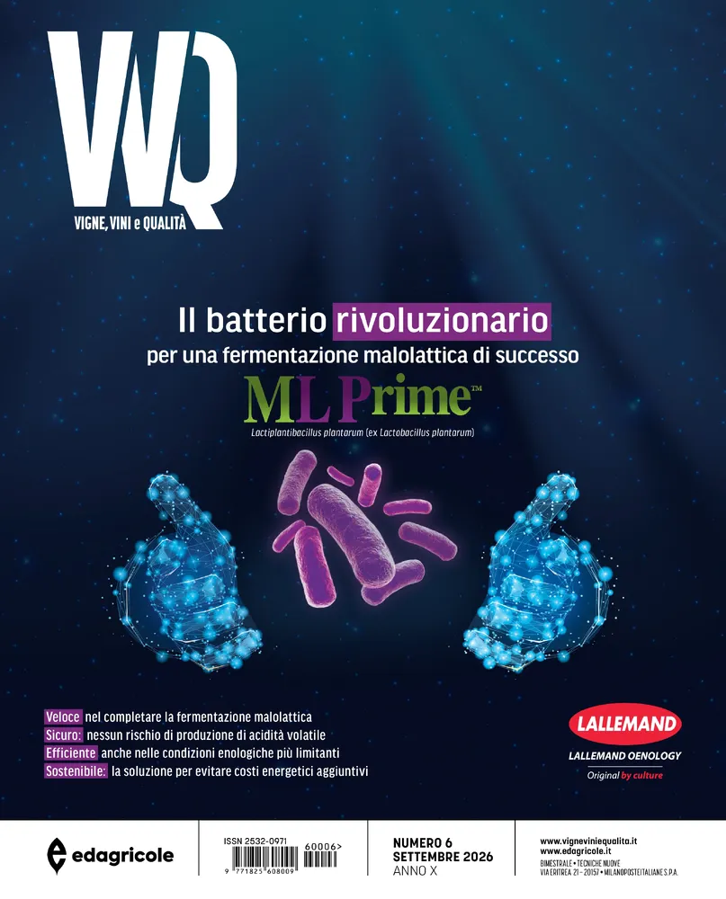n.6 - Settembre 2026