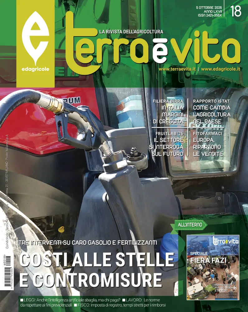 n.18 - Ottobre 2026