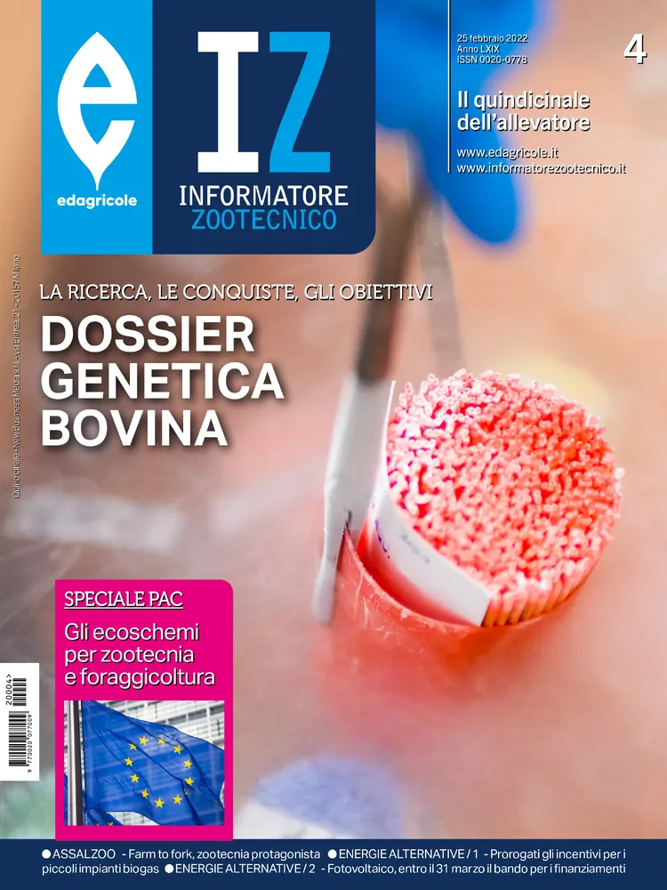 n.4 - Febbraio 2022