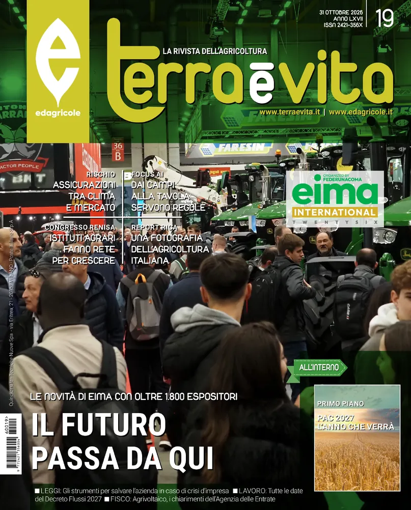 n.19 - Ottobre 2026