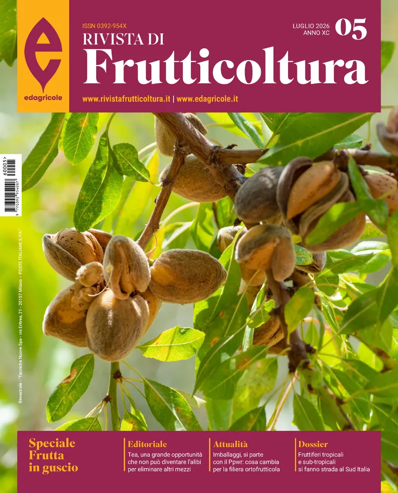 n.5 - Luglio 2026