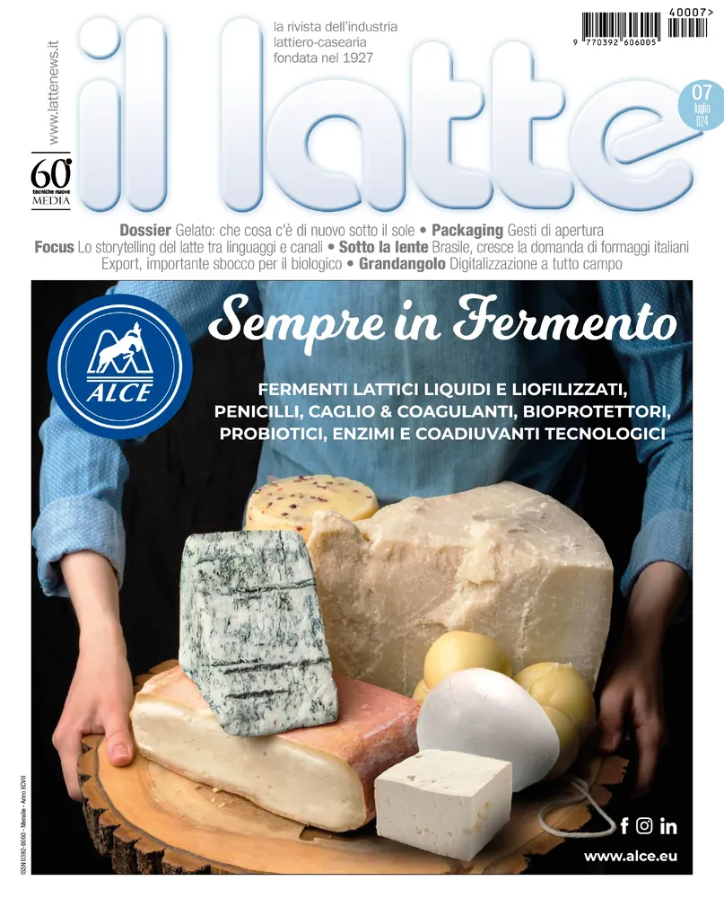 n.7 - Luglio 2024