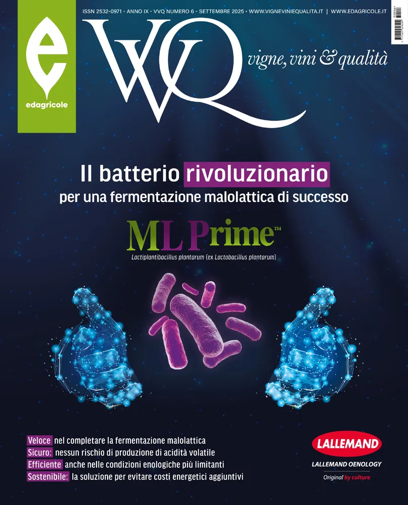 n.6 - Settembre 2025