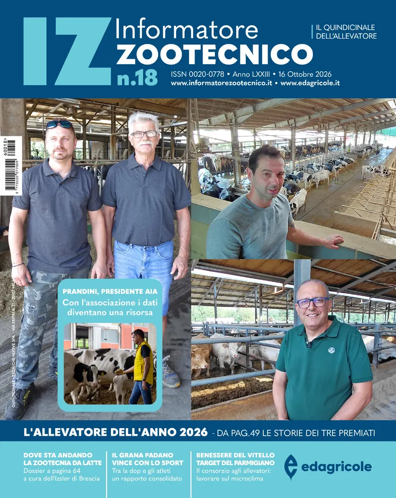 n.18 - Ottobre 2026
