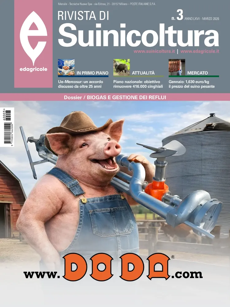 n.3 - Marzo 2026