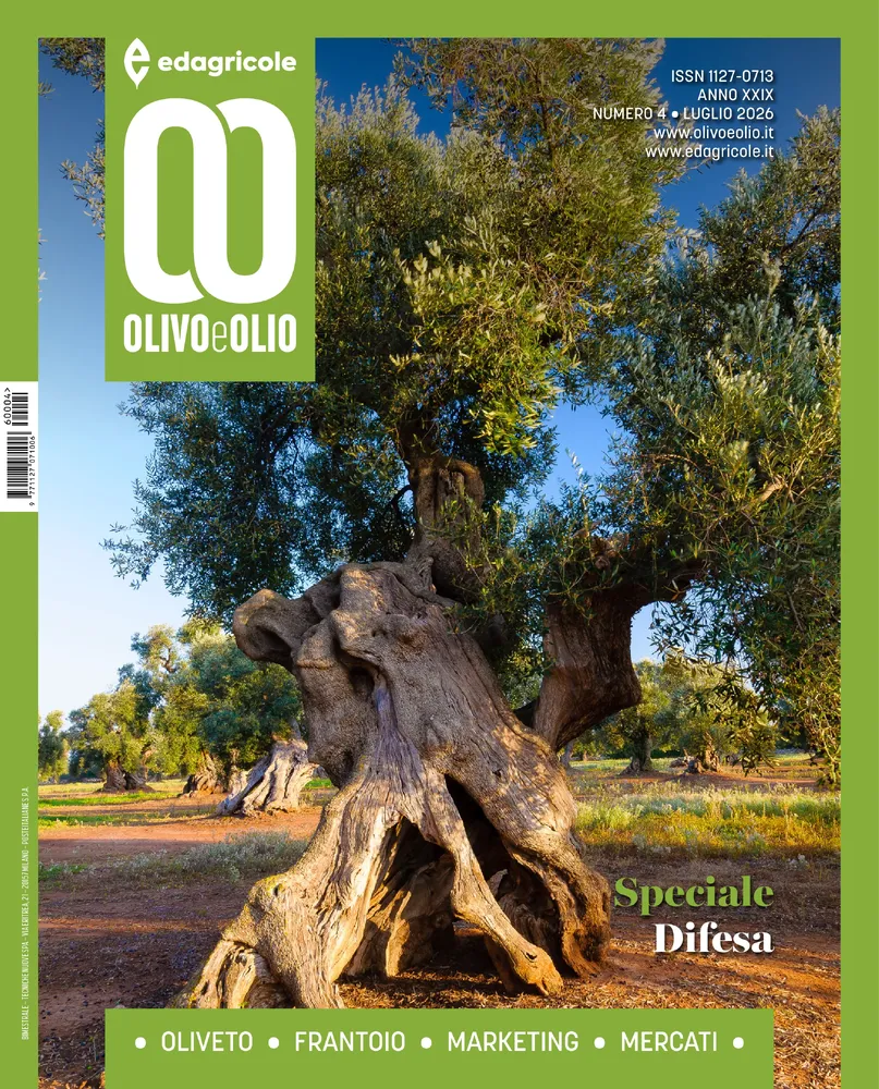 n.4 - Luglio 2026
