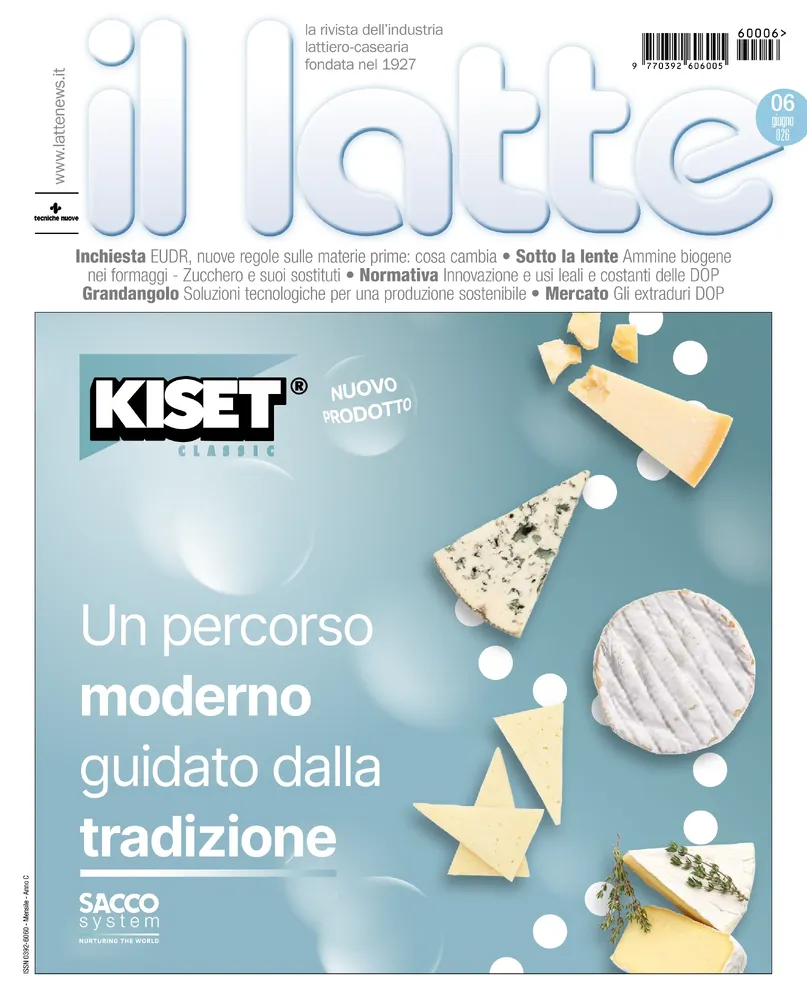 n.6 - Giugno 2026