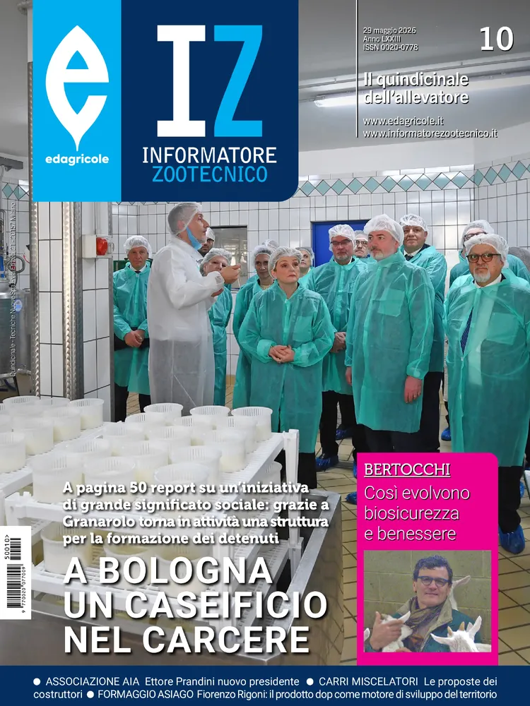 n.10 - Giugno 2026