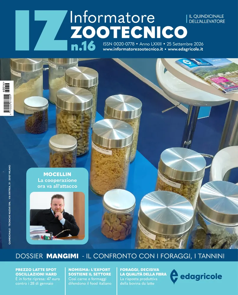 n.16 - Settembre 2026