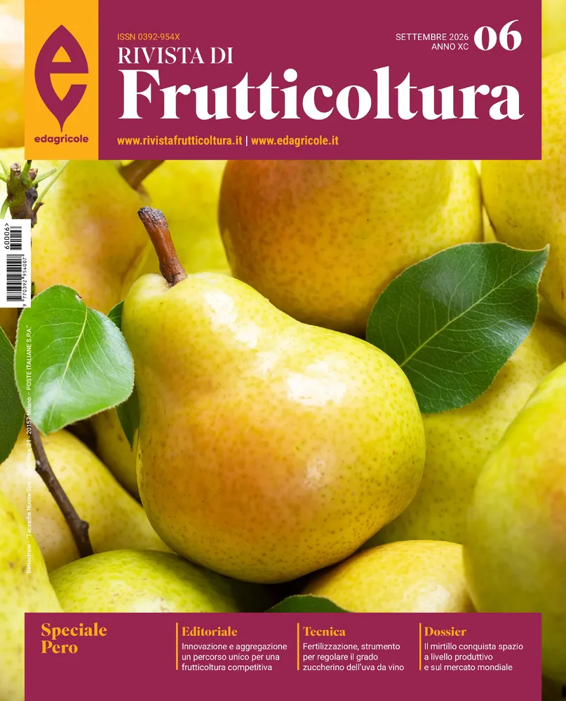 n.6 - Settembre 2026