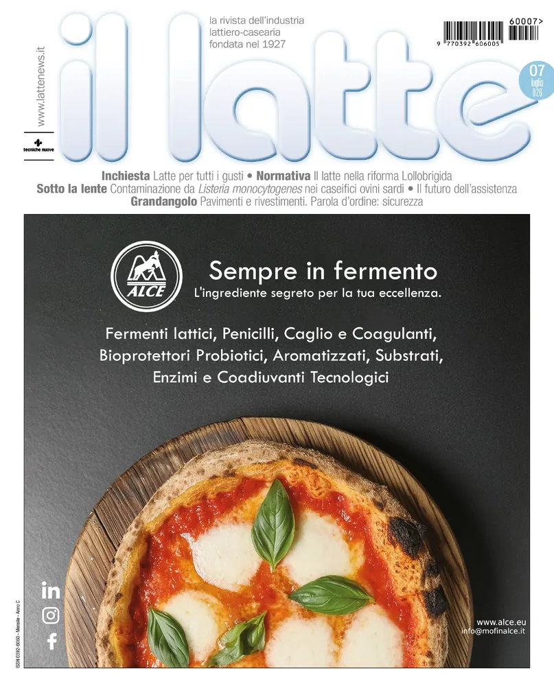 n.7 - Luglio 2026