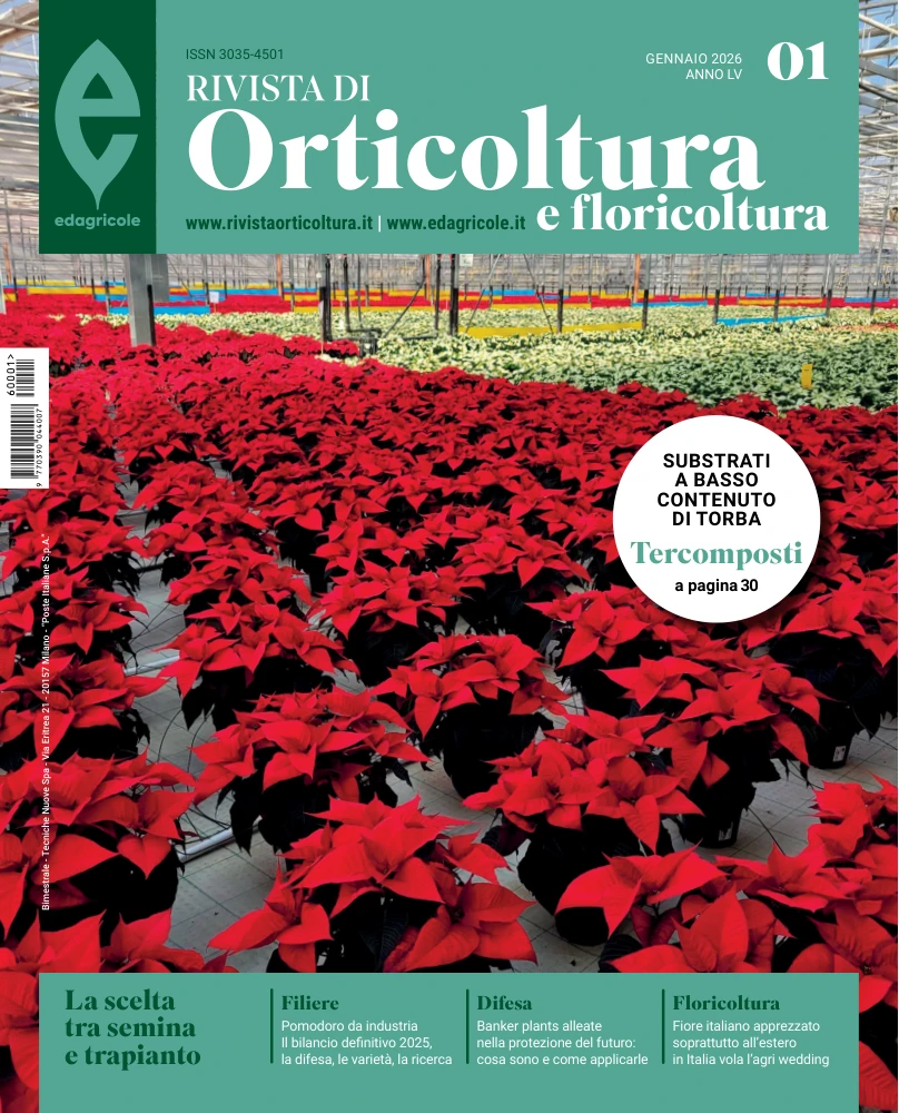 n.1 - Gennaio 2026