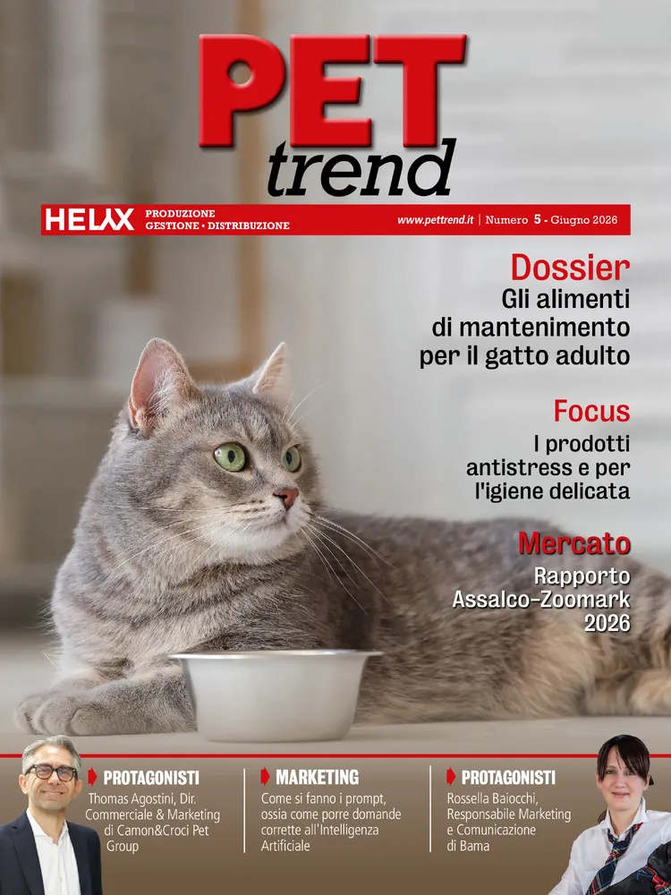 n.5 - Giugno 2026