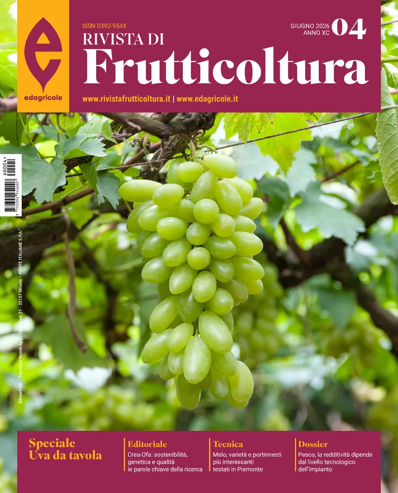 n.4 - Giugno 2026