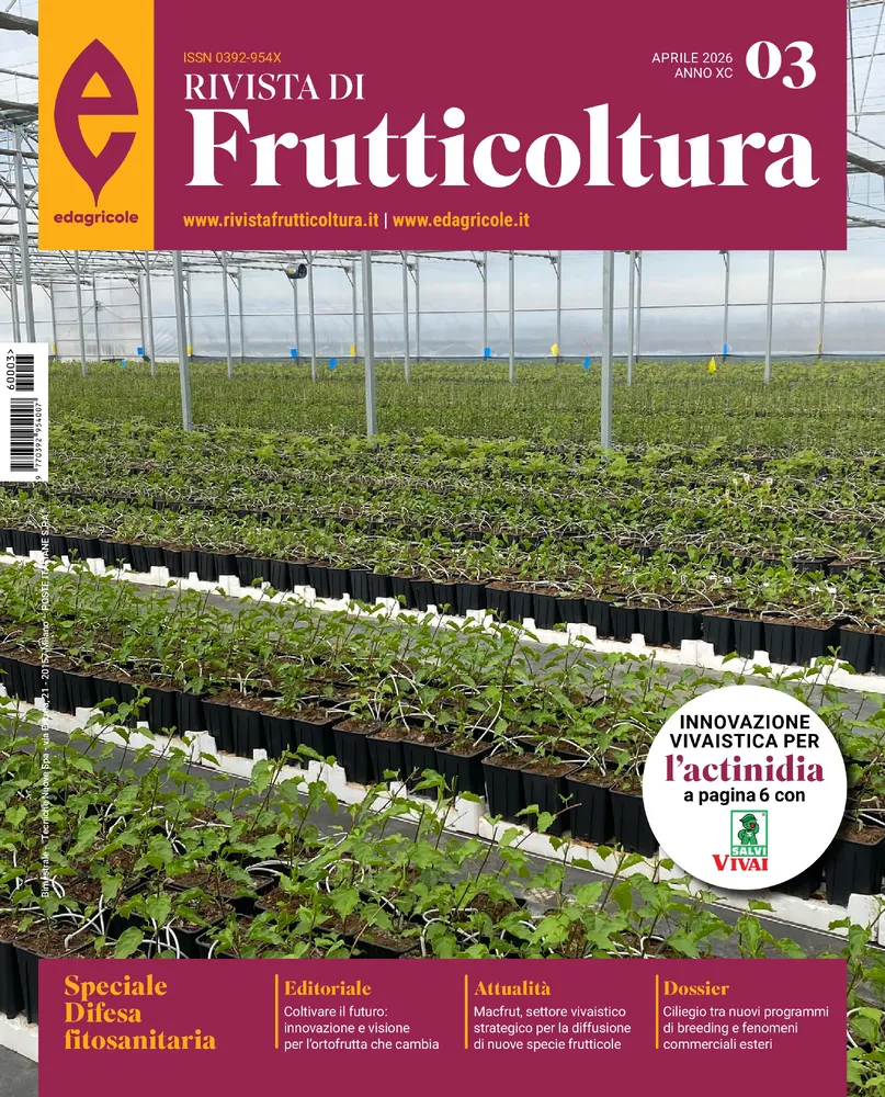 n.3 - Aprile 2026