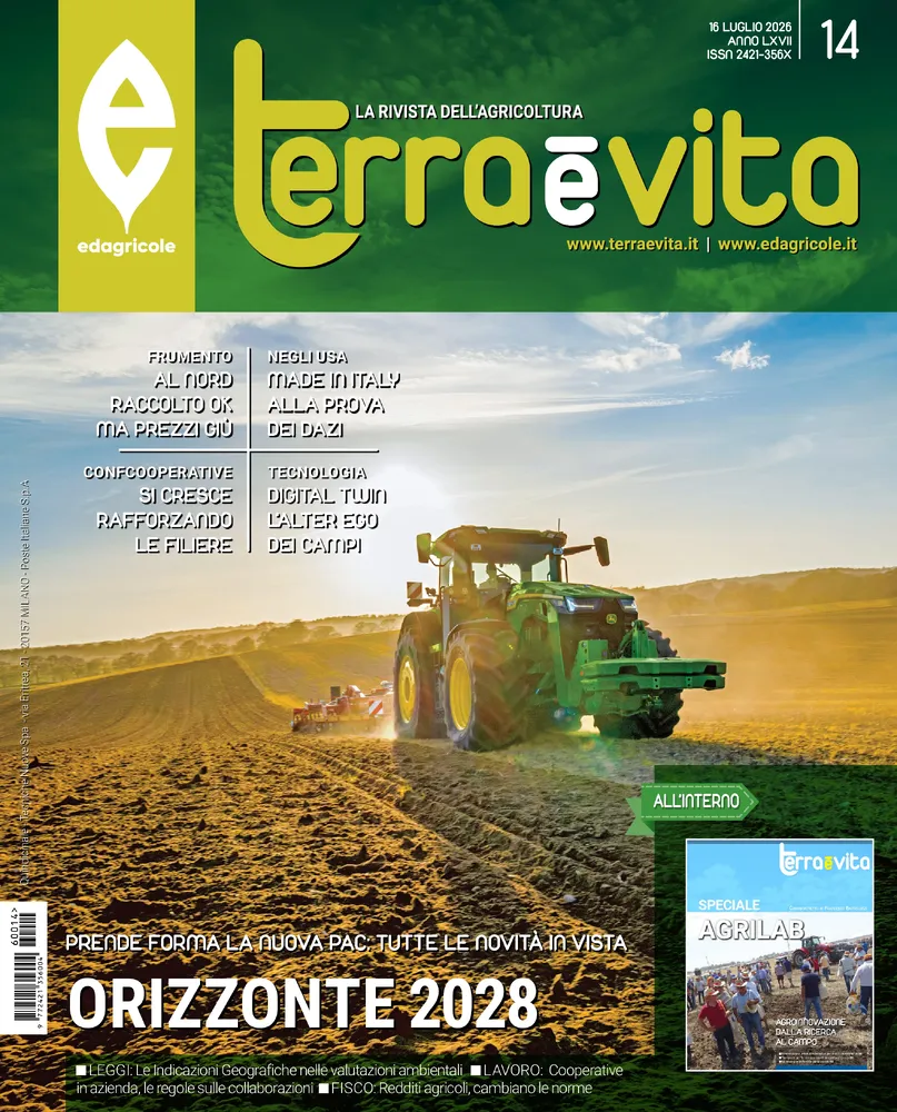 n.14 - 16 Luglio 2026